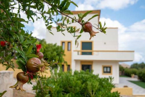 Katerina's Residence - Panoramic Sea View