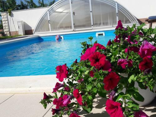 Villa Vila Beki - Private Pool - Zadar County