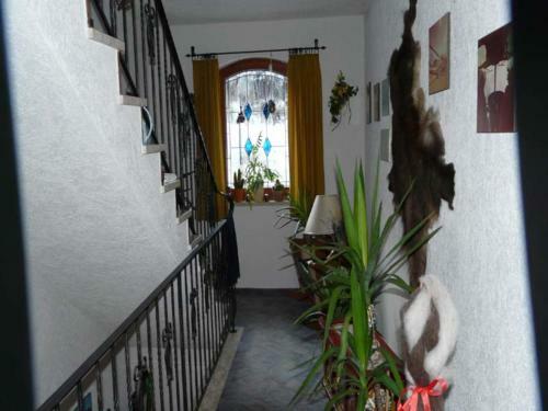 Hostal G�stehaus Schwaiger