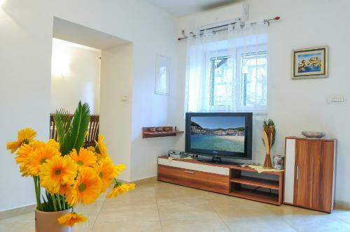 Apartment Loza Pu?i??a