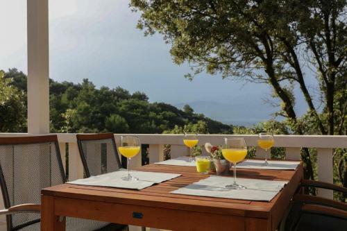 House Martinic