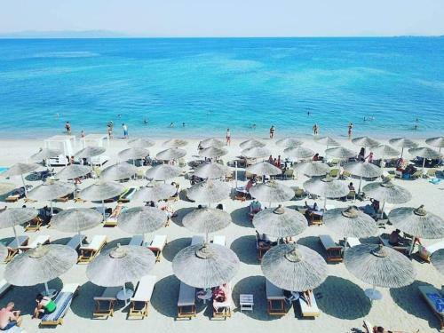 Apartamento Amalthea Guest House
