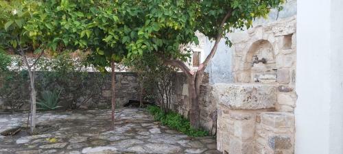 Villa Traditional House In Asfendiou
