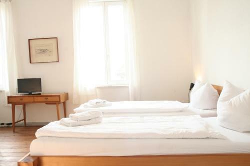 Hostal Saalehof
