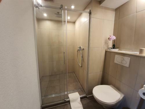 Apartamento Lago Maggiore Alemana