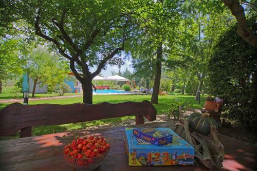 Hostal Aurora Holiday