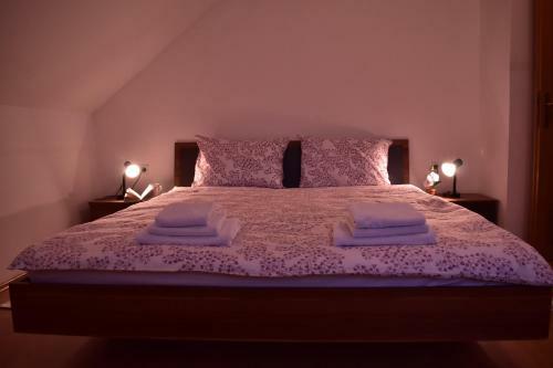 Apartman Skender 3* Ravna Gora