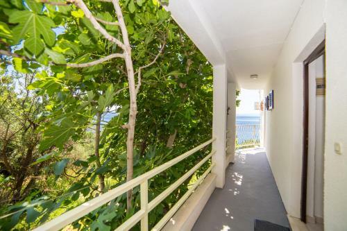 Apartment For Two Close To Sea