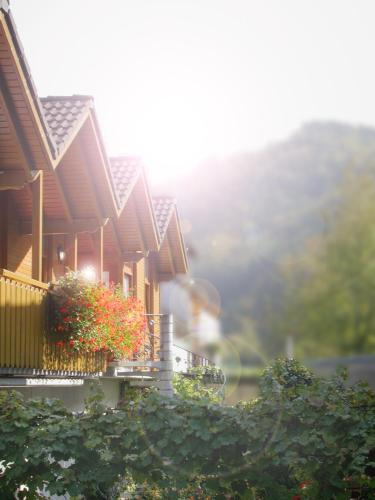 Bed & Breakfast Weinhaus Am Schieferfels