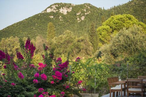 Villa Mariza