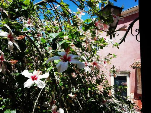 Venetian Well Cozy Apartment Corfu Old Town