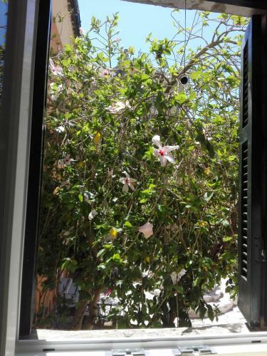 Venetian Well Cozy Apartment Corfu Old Town