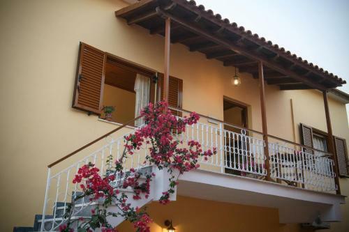 Sophia's Family House