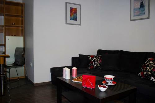 Olga's Luxury Apartment