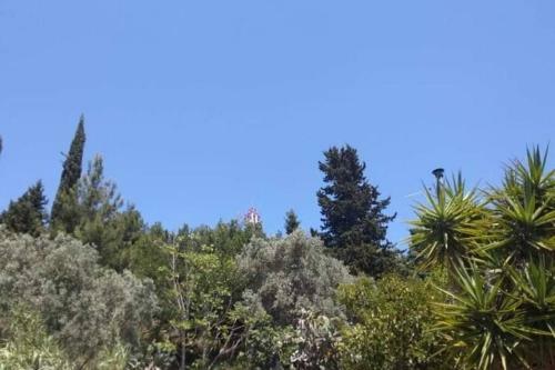 Apartamento Green Hill Studio Corfu Town