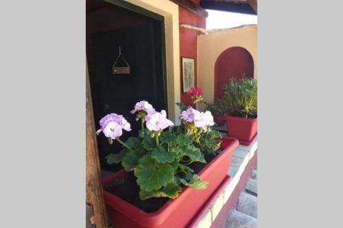 Apartamento Green Hill Studio Corfu Town