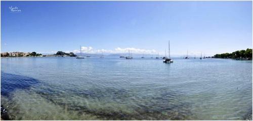 Summer By The Sea