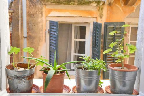 Roses Apartment In Corfu City Centre