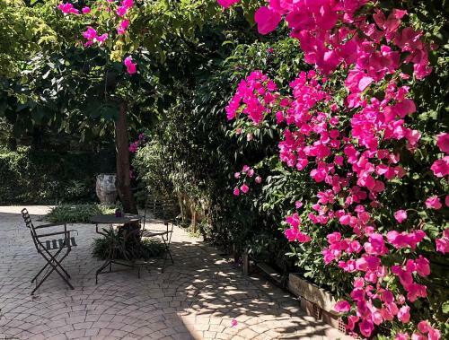 Apartamento Garden Suites