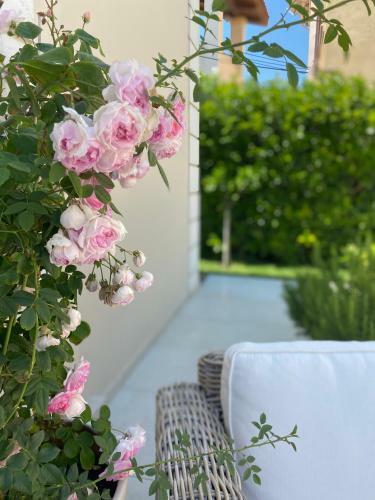 Luxury Seaside Villa Darl