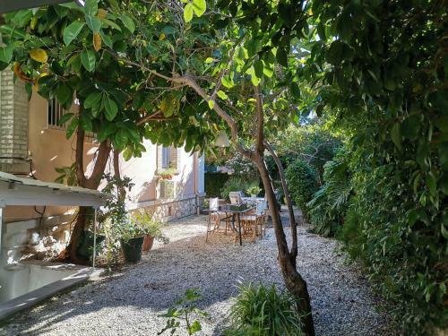 Apartamento Central Garden Villa