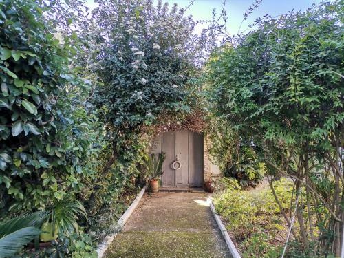 Apartamento Central Garden Villa
