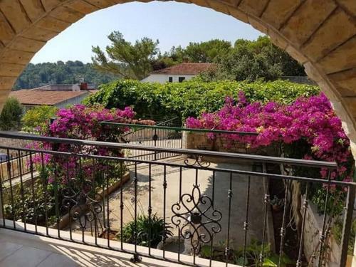 Apartment Villa Jakov