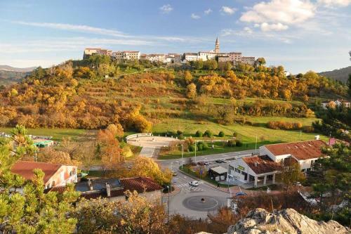 Istrian Villa Roc With Pool For 5 Guests