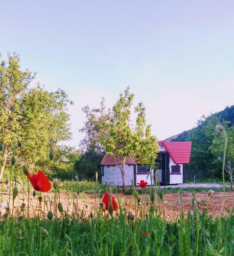 Krka Fairytale Village