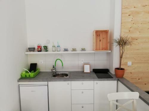 Studio Apartman Fleiss