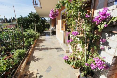 Hostal Apartments Marija Savudrija