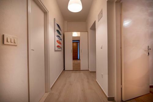 Apartment Iva