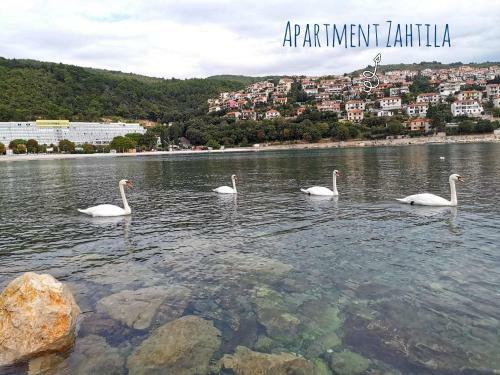 Apartment Zahtila