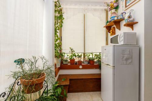 Hostal Apartments Vivijana