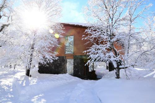 Lodge Caba�as Las Cabras