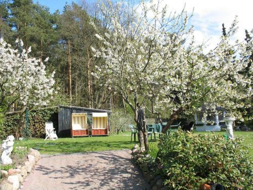 Apartamento Ferienwohnung Am Waldrand