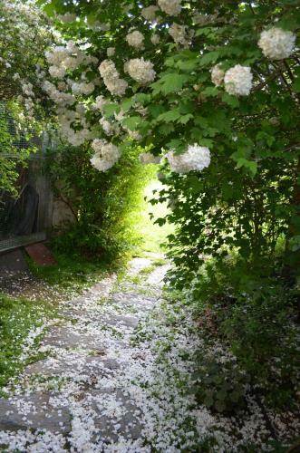 Bed & Breakfast Le Jardin Secret