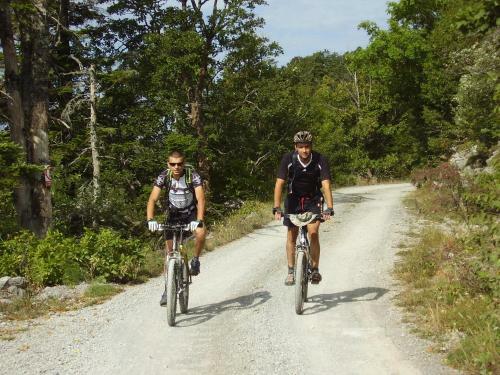 Holiday Home Sinac