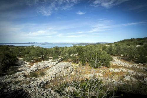 Hostal Holiday Home Rusticana***sali, Dugi Otok
