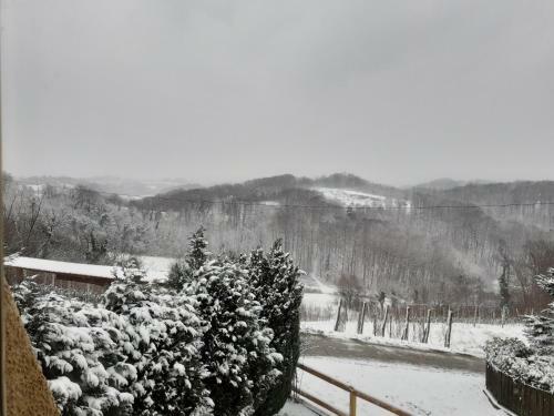 Ruralna Ku?a Za Odmor Golub