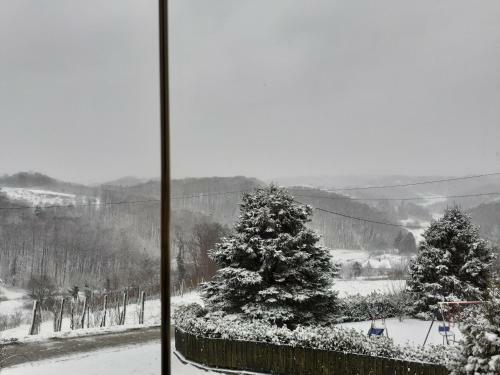 Ruralna Ku?a Za Odmor Golub