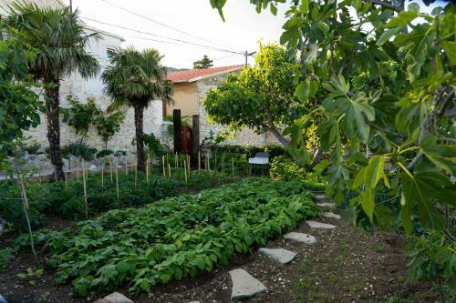 Apartamento Holiday Home Leptir