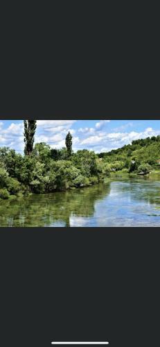 Luxury Apartment Knezovic