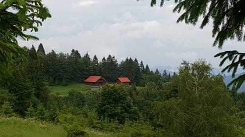 Chalet Mit 7.000 M2 Land Und Wundersch�ne Aussicht