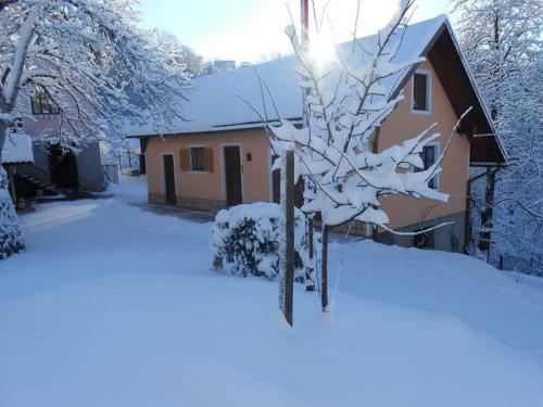 Apartman"zibar"