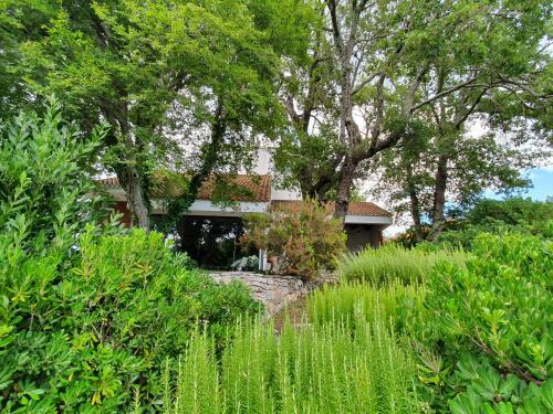 Isolated Villa Terna -big Garden-pool-dalmatia
