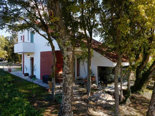 Isolated Villa Terna -big Garden-pool-dalmatia