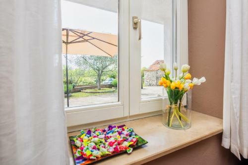 Guest House Marla