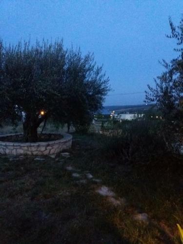 Apartamento Fortuna