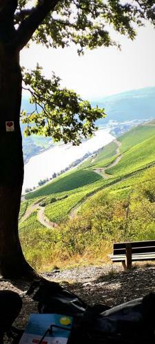 Bed & Breakfast G�stehaus Schwaab